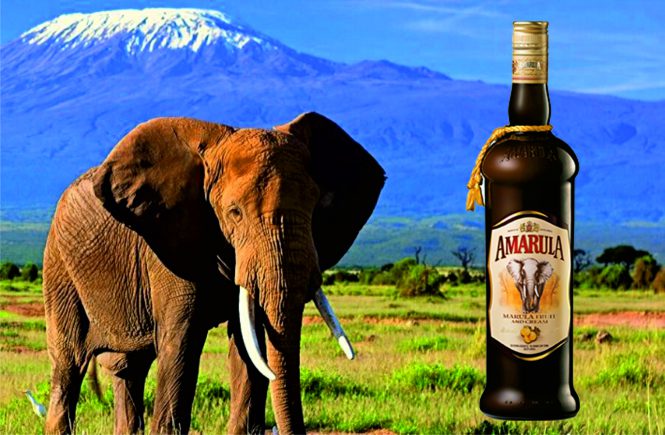 Amarula Wild Fruit Liqueur