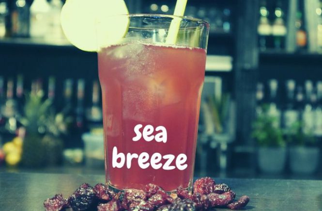 Sea Breeze Cocktail Recipe