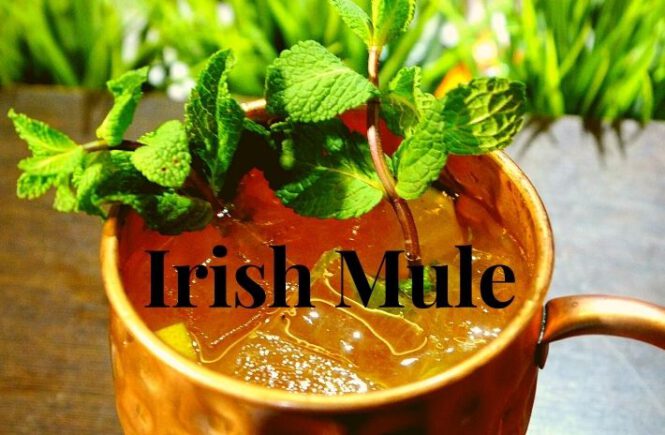 How to make the Irish Mule cocktail