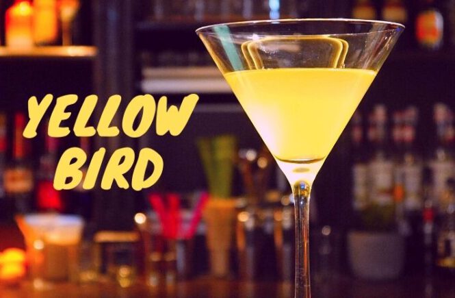 How to make the Yellow Bird Cocktail