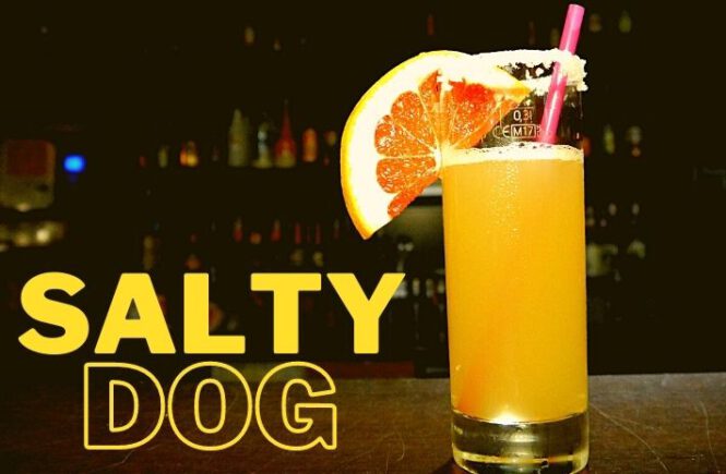 SALTY DOG COCKTAIL Recipe