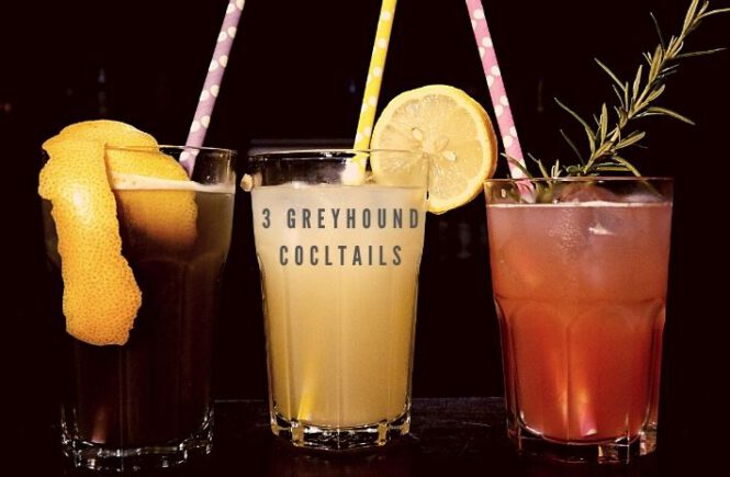 3 GREYHOUND COCKTAILS Recipe