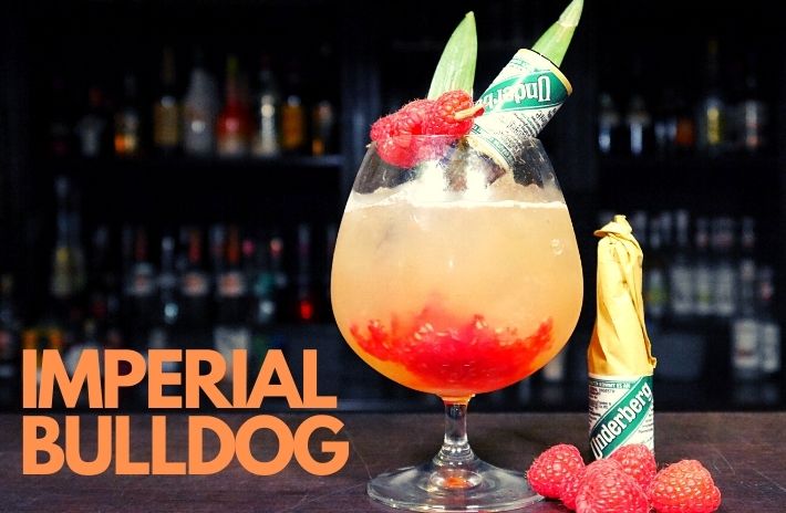 Imperial Bulldog Cocktail Recipe – Wicki Wacki Woo