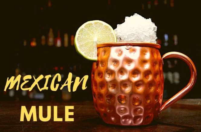 MEXICAN MULE COCKTAIL Recipe