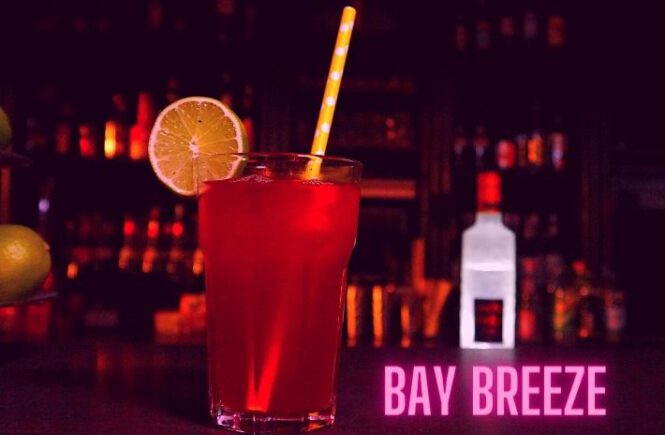 BAY BREEZE COCKTAIL Recipe