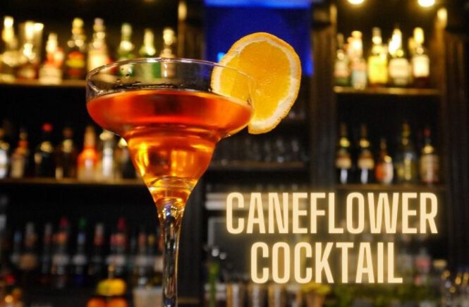 CANEFLOWER COCKTAIL Recipe